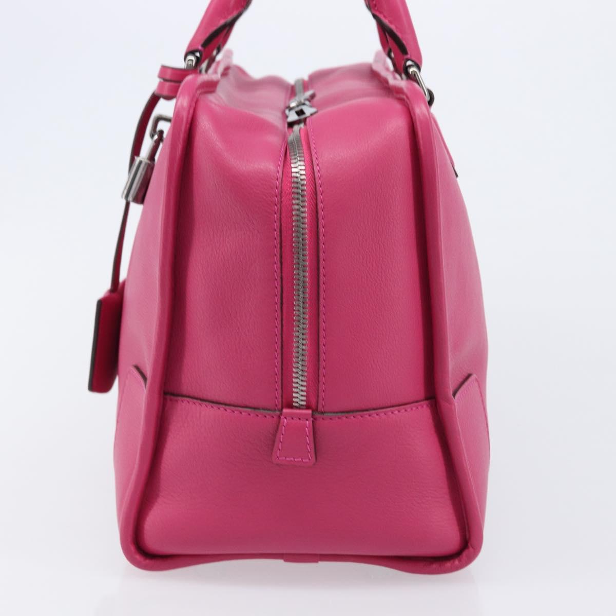 LOEWE Amazona 36 Hand Bag Leather Pink Silver Auth 215397A