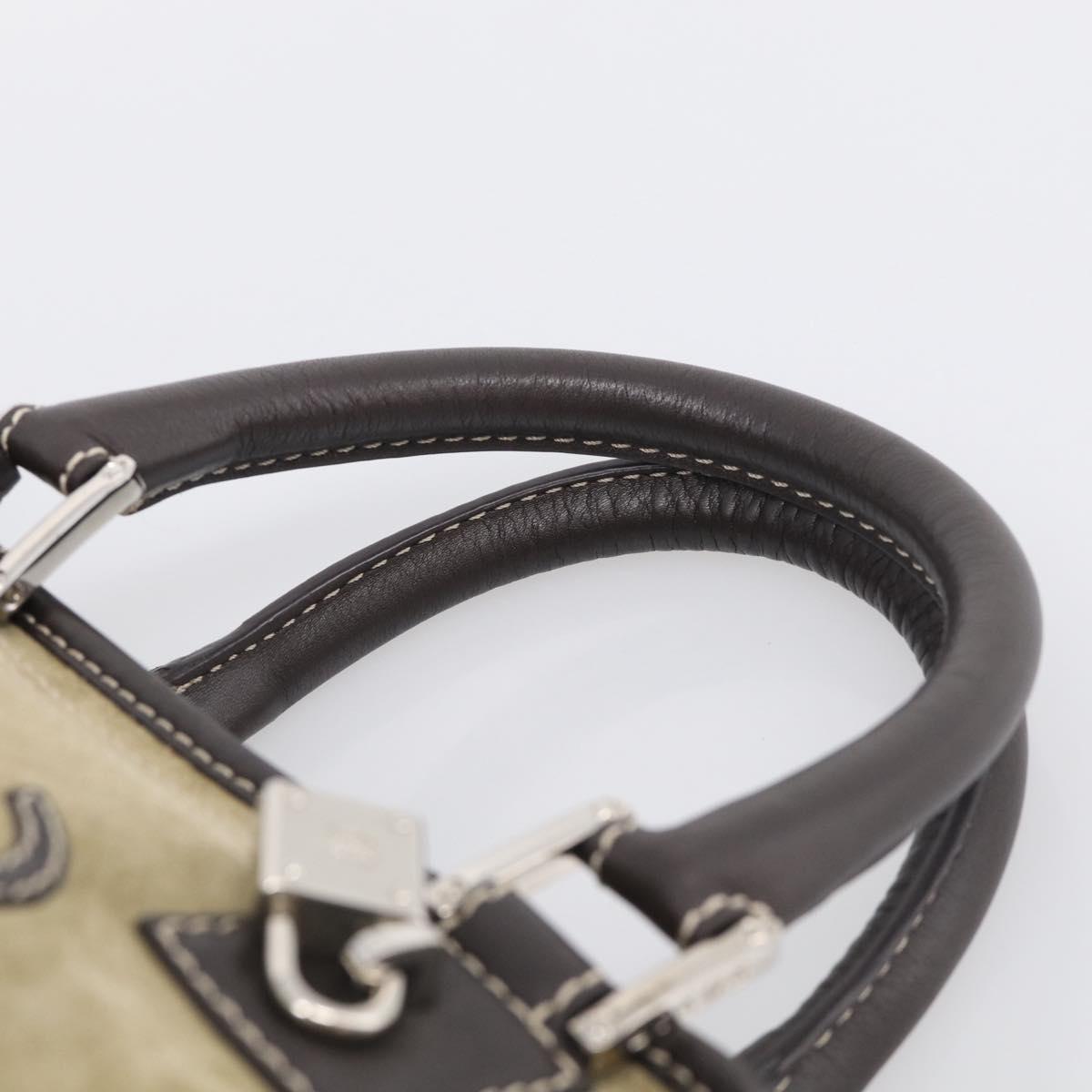 LOEWE Amazonas Hand Bag Suede Beige Silver Auth 215542V