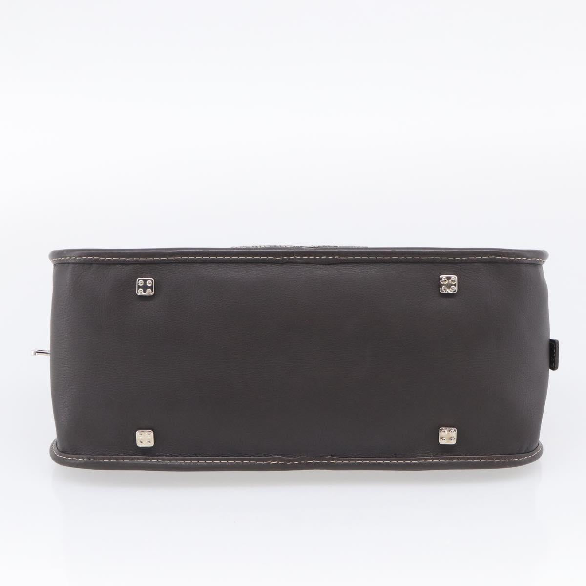 LOEWE Amazonas Hand Bag Suede Beige Silver Auth 215542V