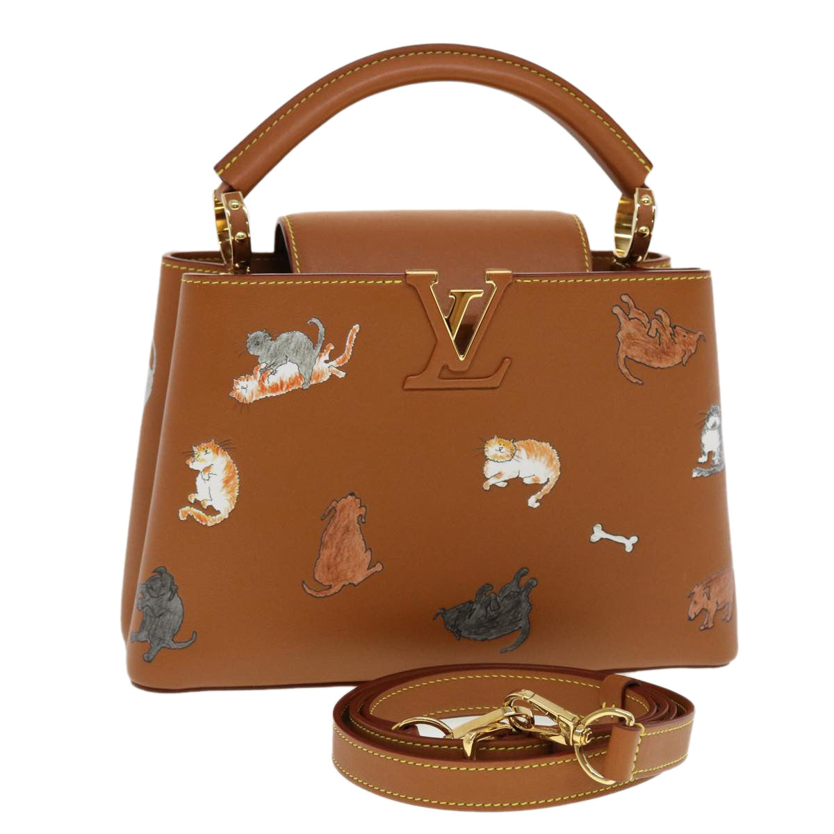 LOUIS VUITTON Catgram Capsine BB Hand Bag 2way Brown M53185 LV Auth 42827SM