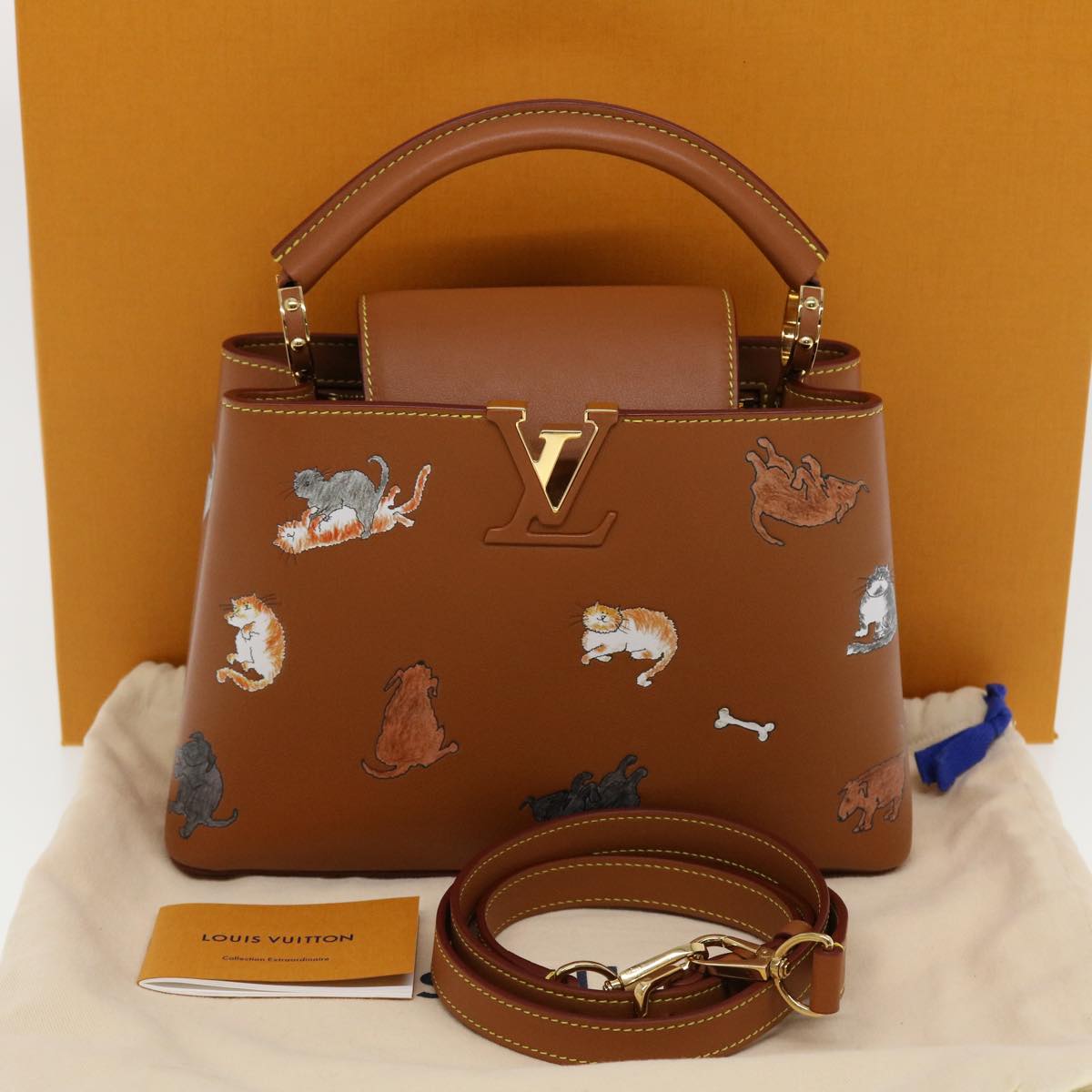 LOUIS VUITTON Catgram Capsine BB Hand Bag 2way Brown M53185 LV Auth 42827SM