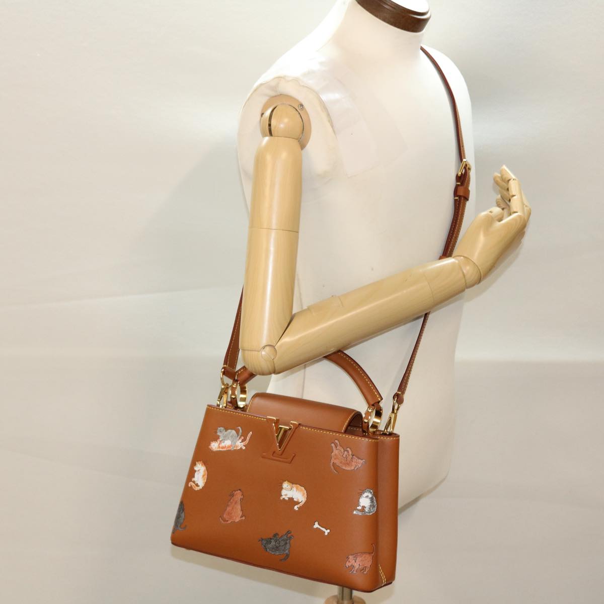 LOUIS VUITTON Catgram Capsine BB Hand Bag 2way Brown M53185 LV Auth 42827SM