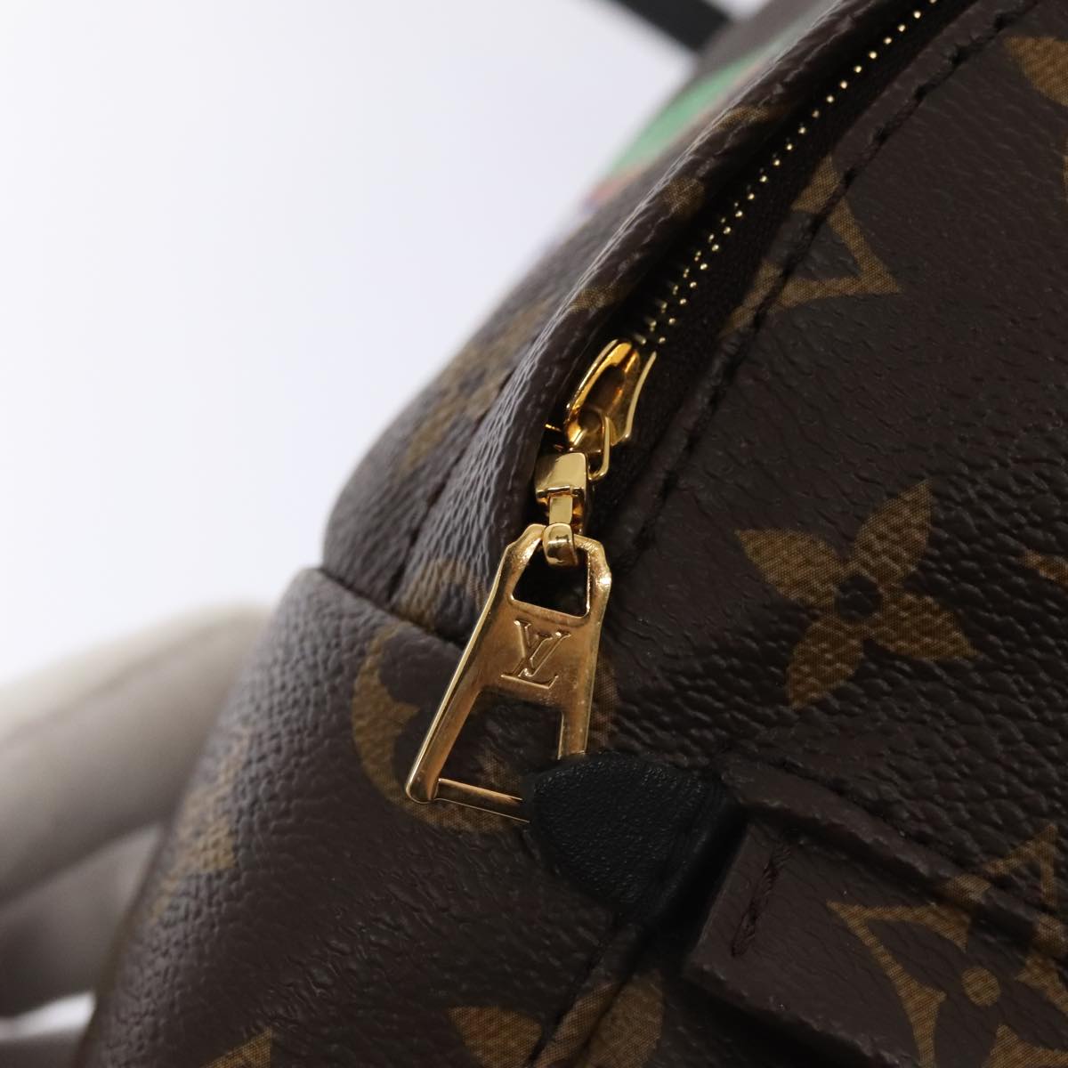 LOUIS VUITTON Monogram Palm Springs MINI Backpack M41562 LV Auth 51688S