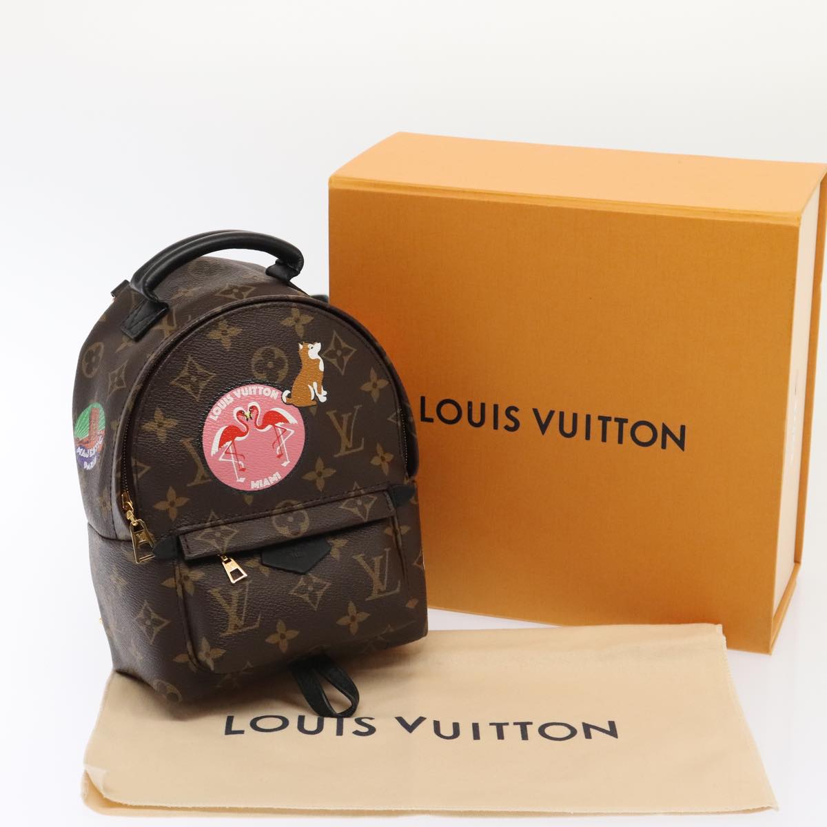 LOUIS VUITTON Monogram Palm Springs MINI Backpack M41562 LV Auth 51688S