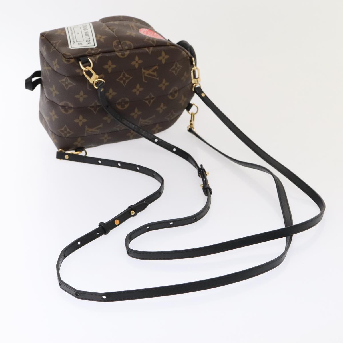 LOUIS VUITTON Monogram Palm Springs MINI Backpack M41562 LV Auth 51688S