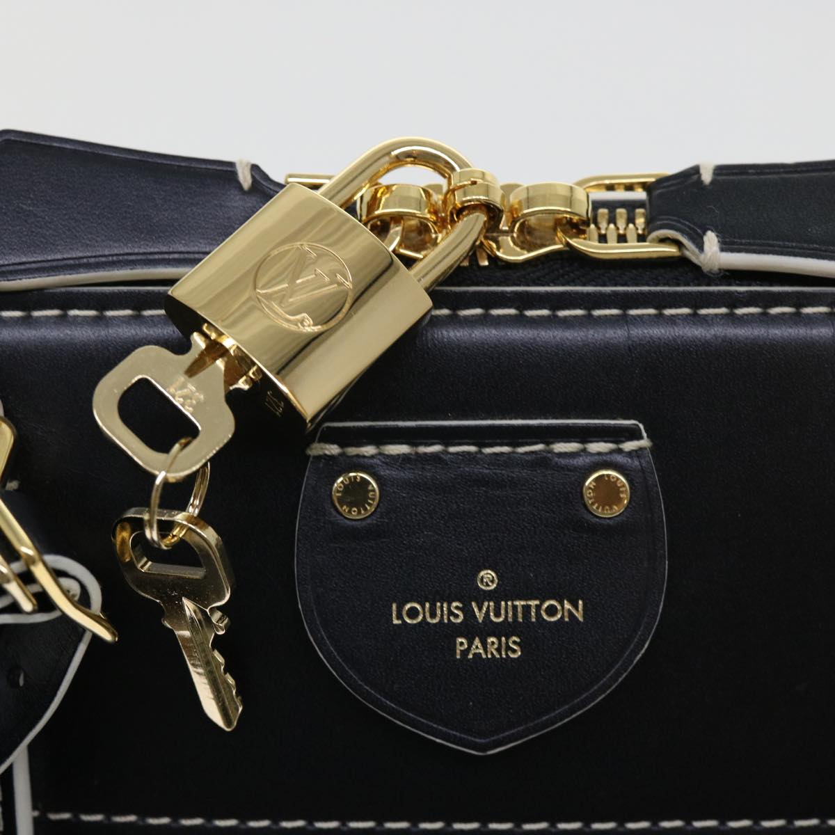 LOUIS VUITTON Catgram Alma Souple Hand Bag 2way Black M44403 LV Auth 52542SM
