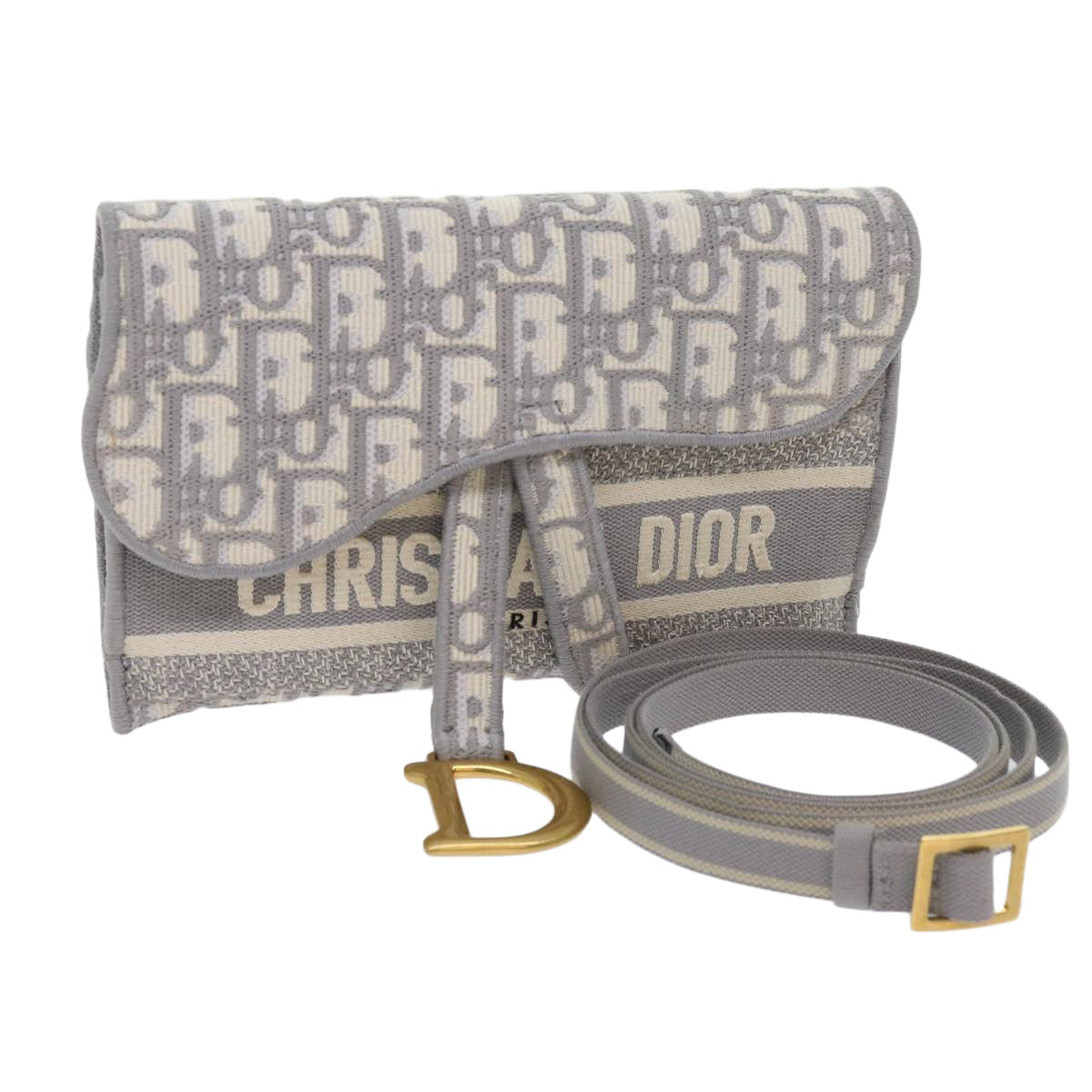 Christian Dior Trotter Canvas Waist bag Light Blue Auth 62916A