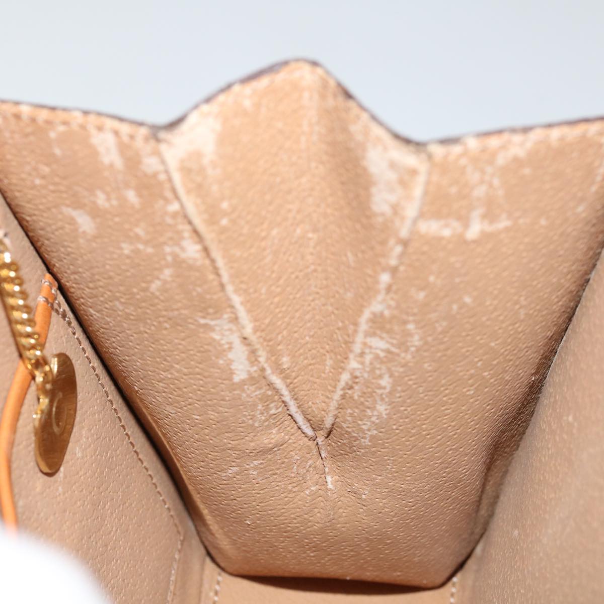 CELINE Macadam Canvas Hand Bag PVC 2way Brown Auth 69000V