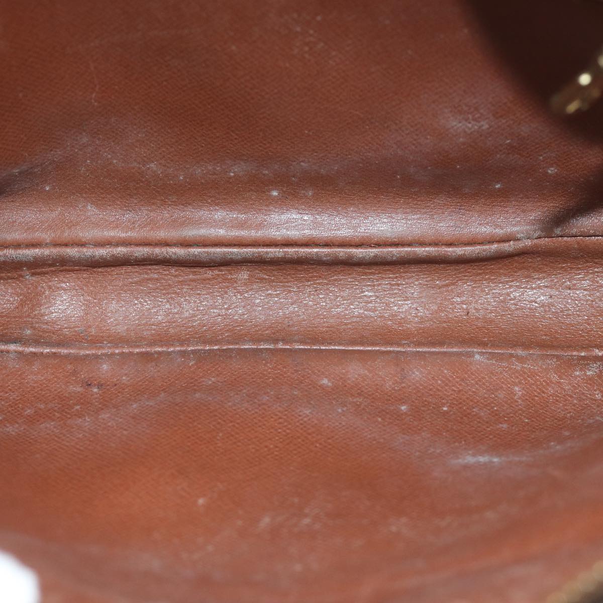 LOUIS VUITTON Monogram Marly Dragonne GM Clutch Bag M51825 LV Auth 70475