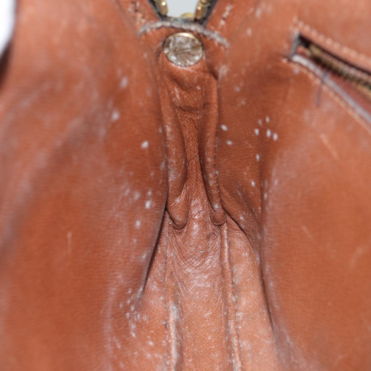 LOUIS VUITTON Monogram Marly Dragonne GM Clutch Bag M51825 LV Auth 70475