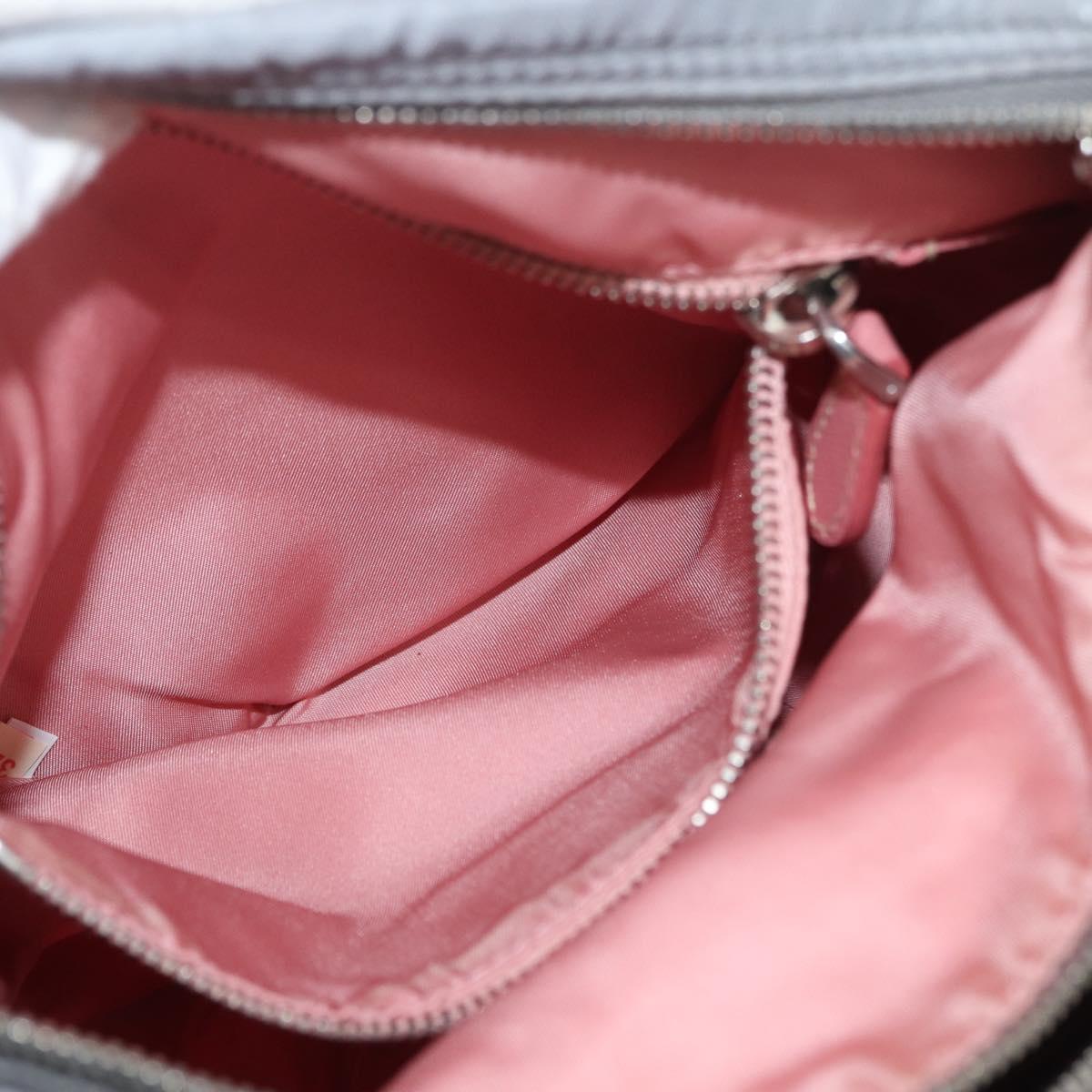 PRADA Shoulder Bag Nylon Gray Silver Auth 89792