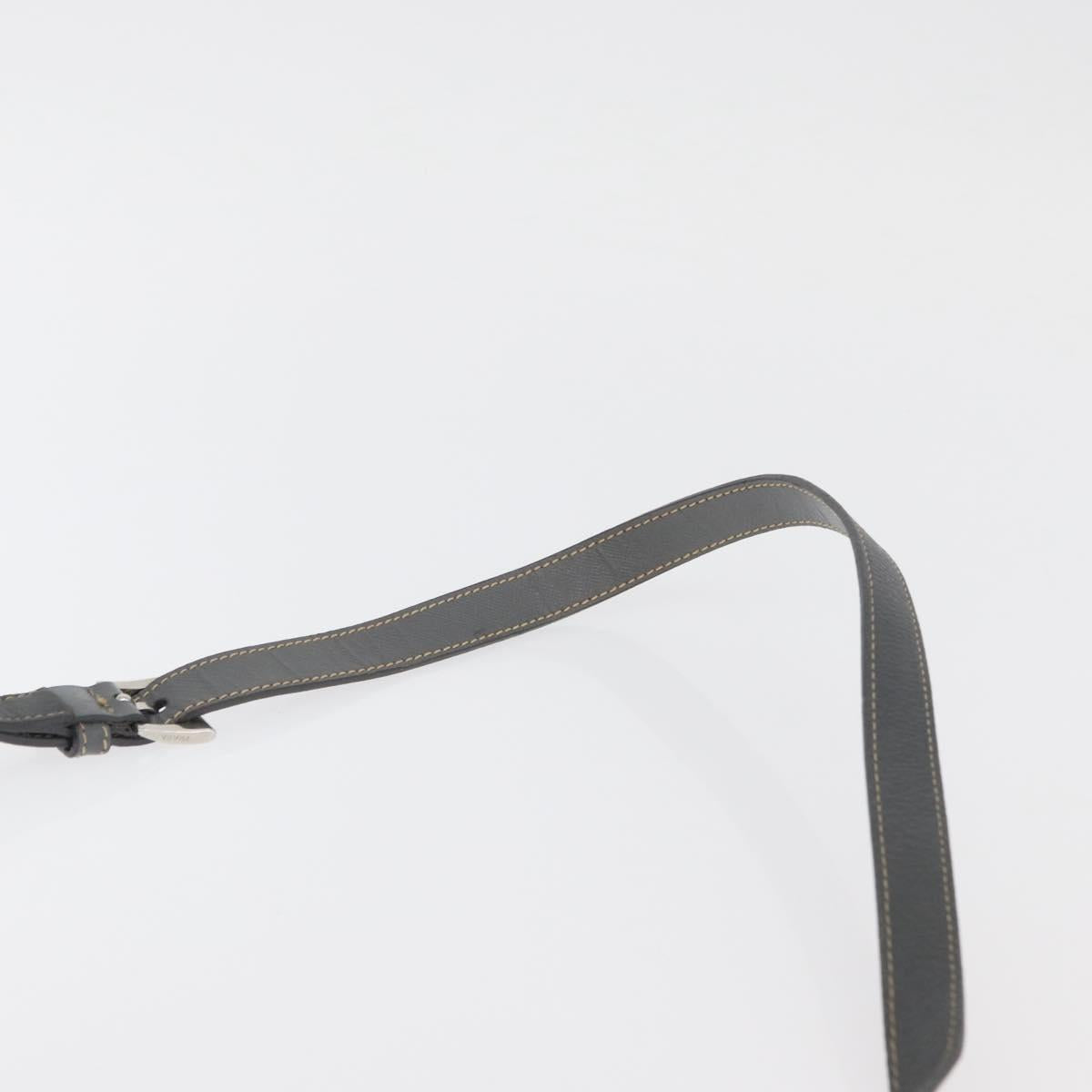 PRADA Shoulder Bag Nylon Gray Silver Auth 89792