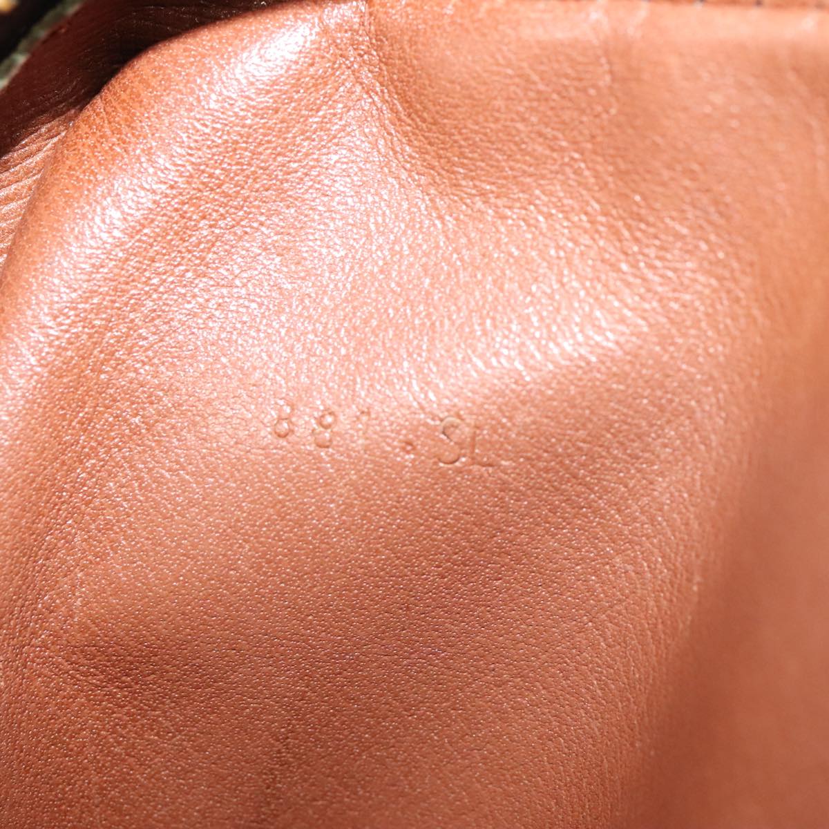 LOUIS VUITTON Monogram Danube Shoulder Bag M45266 LV Auth 91368