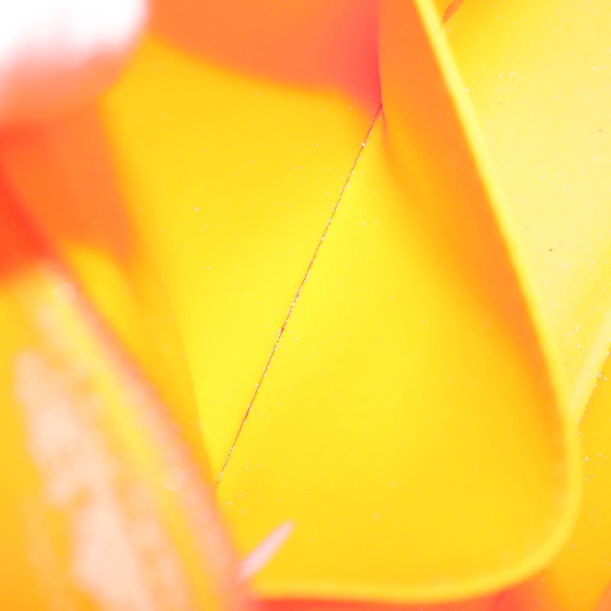 LOUIS VUITTON Damier Infini Trousse Toilette Bag Orange N23348 LV Auth 92529