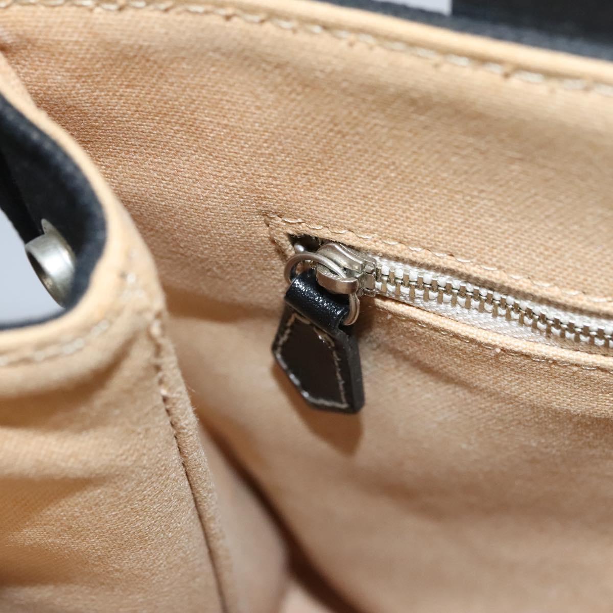 BURBERRY Blue Label Hand Bag Canvas Black Auth ac3538