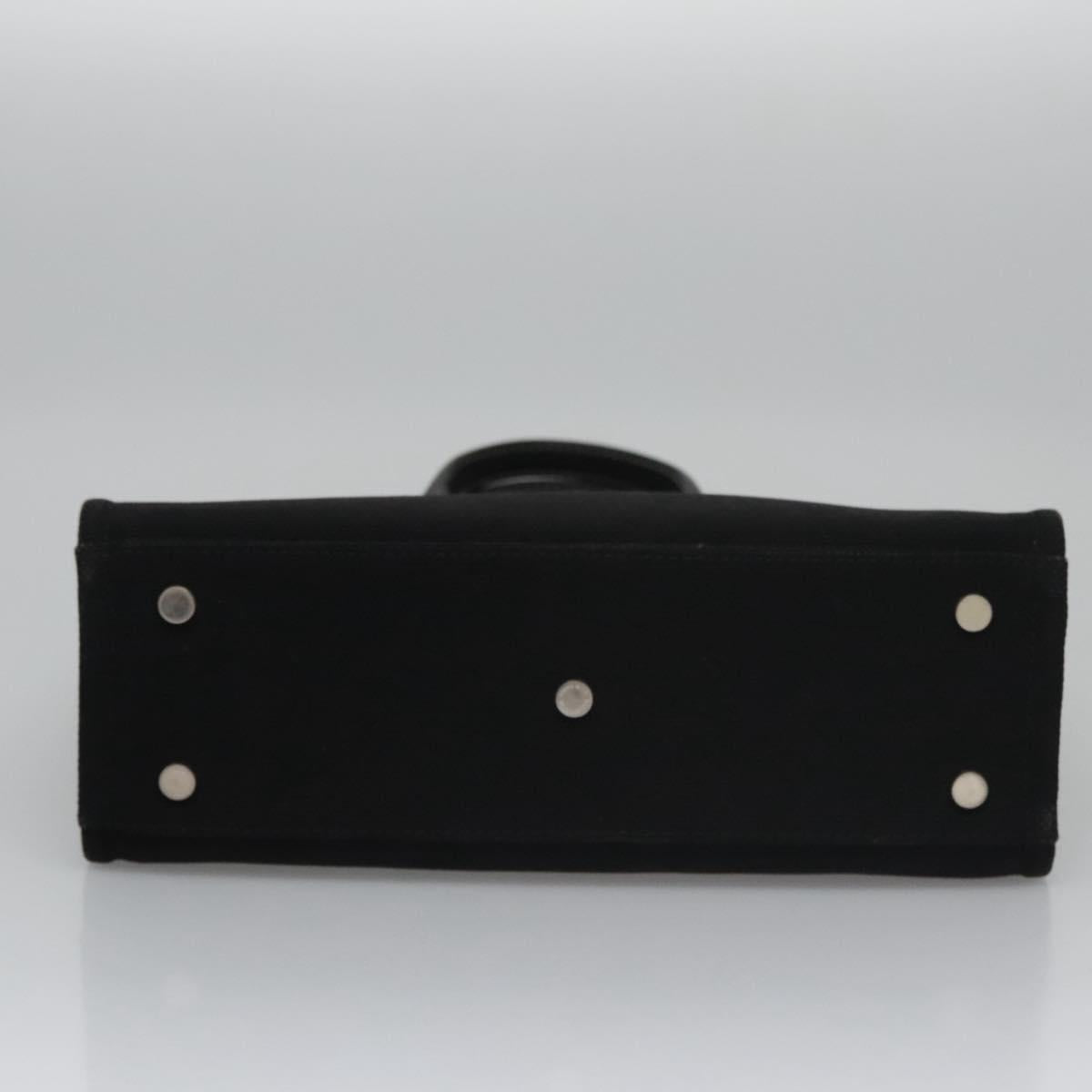 BURBERRY Blue Label Hand Bag Canvas Black Auth ac3538