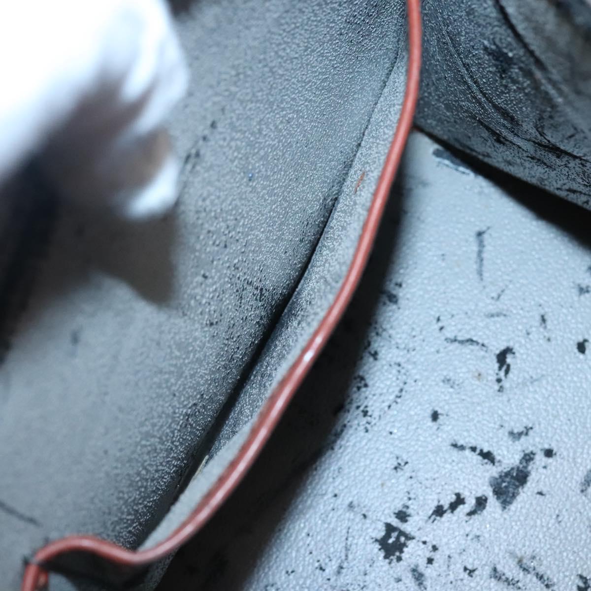 LOUIS VUITTON Epi Riviera Hand Bag Brown M48183 LV Auth ac3809