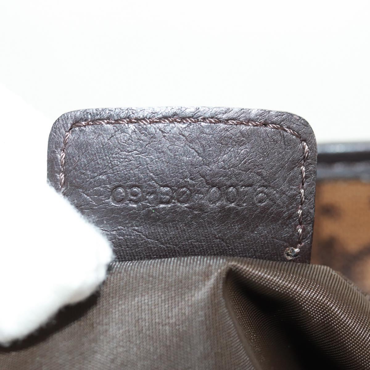 Christian Dior Chain Trotter Canvas Hand Bag PVC Brown Silver Auth am10565V