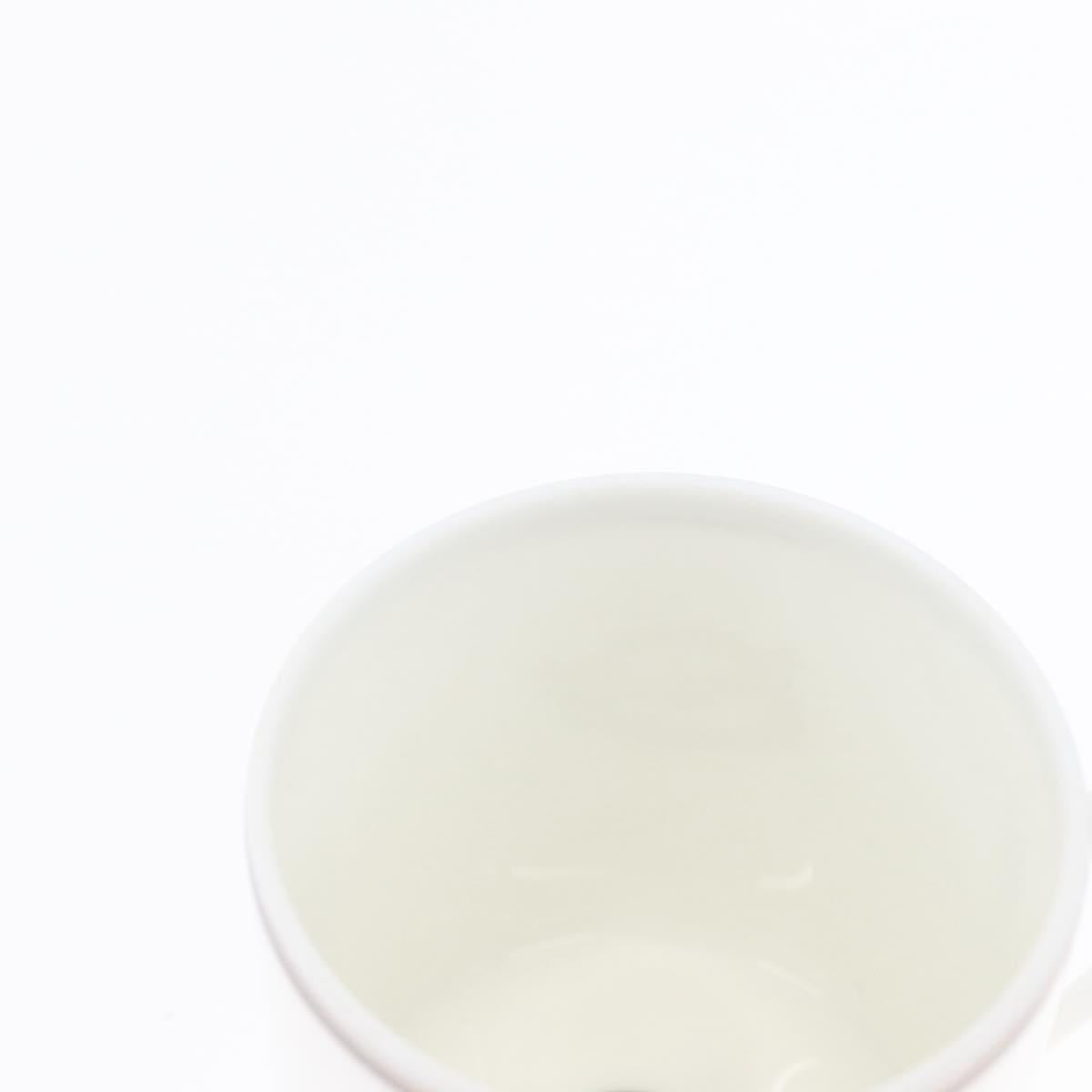 HERMES Schoendunkle Platinum Cup and Saucer Set of 2 Pottery Auth am10750SAV