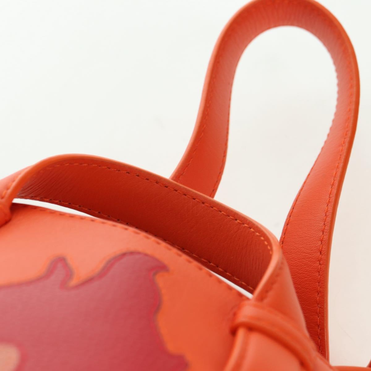 LOEWE × Studio Ghibli Calcifer Nugget Hammock Bag Leather Orange Auth am11499SM