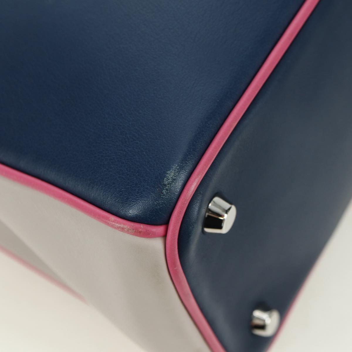 Christian Dior Lady Dior Tricolor Bag Leather 2way Navy Silver Auth am11597SAM