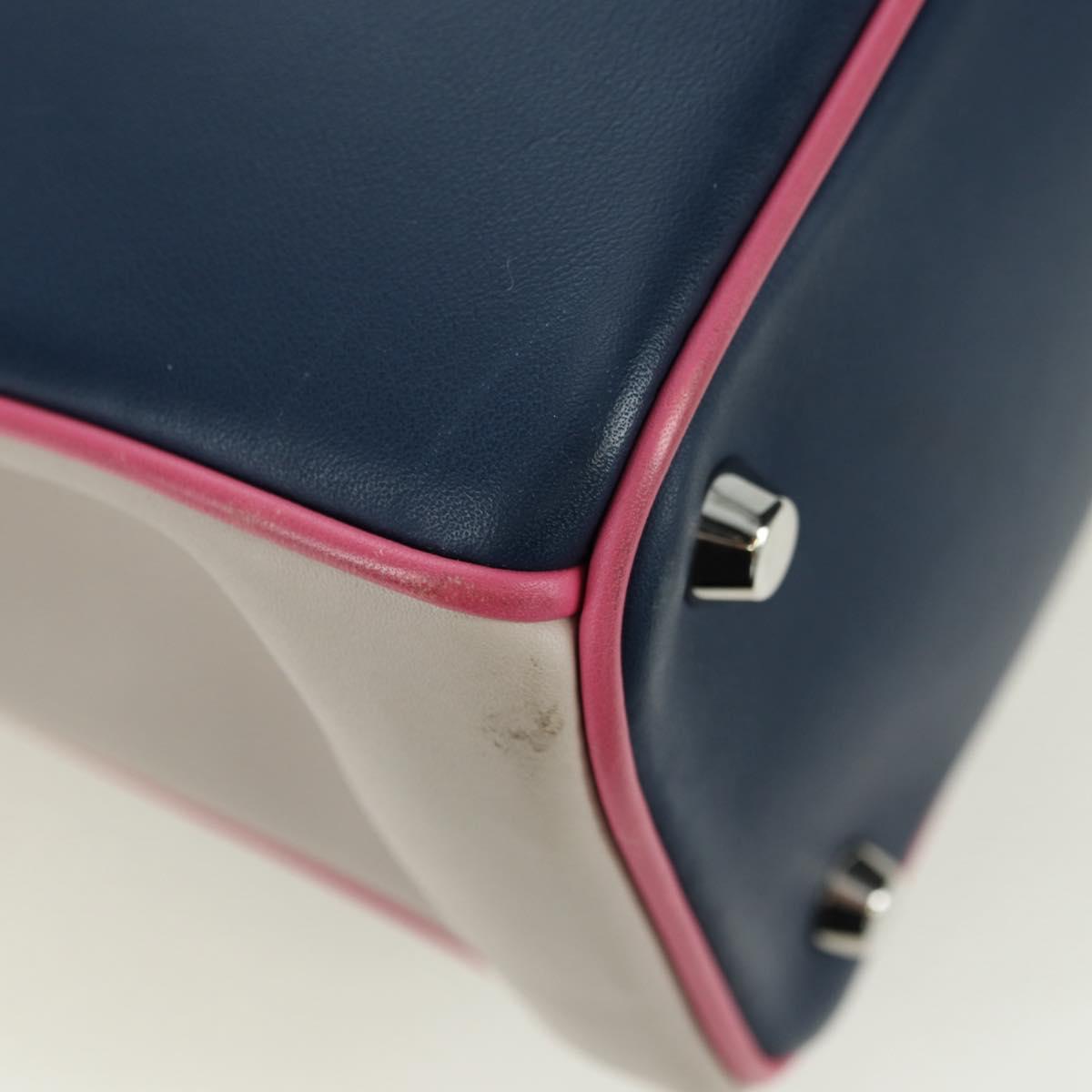 Christian Dior Lady Dior Tricolor Bag Leather 2way Navy Silver Auth am11597SAM