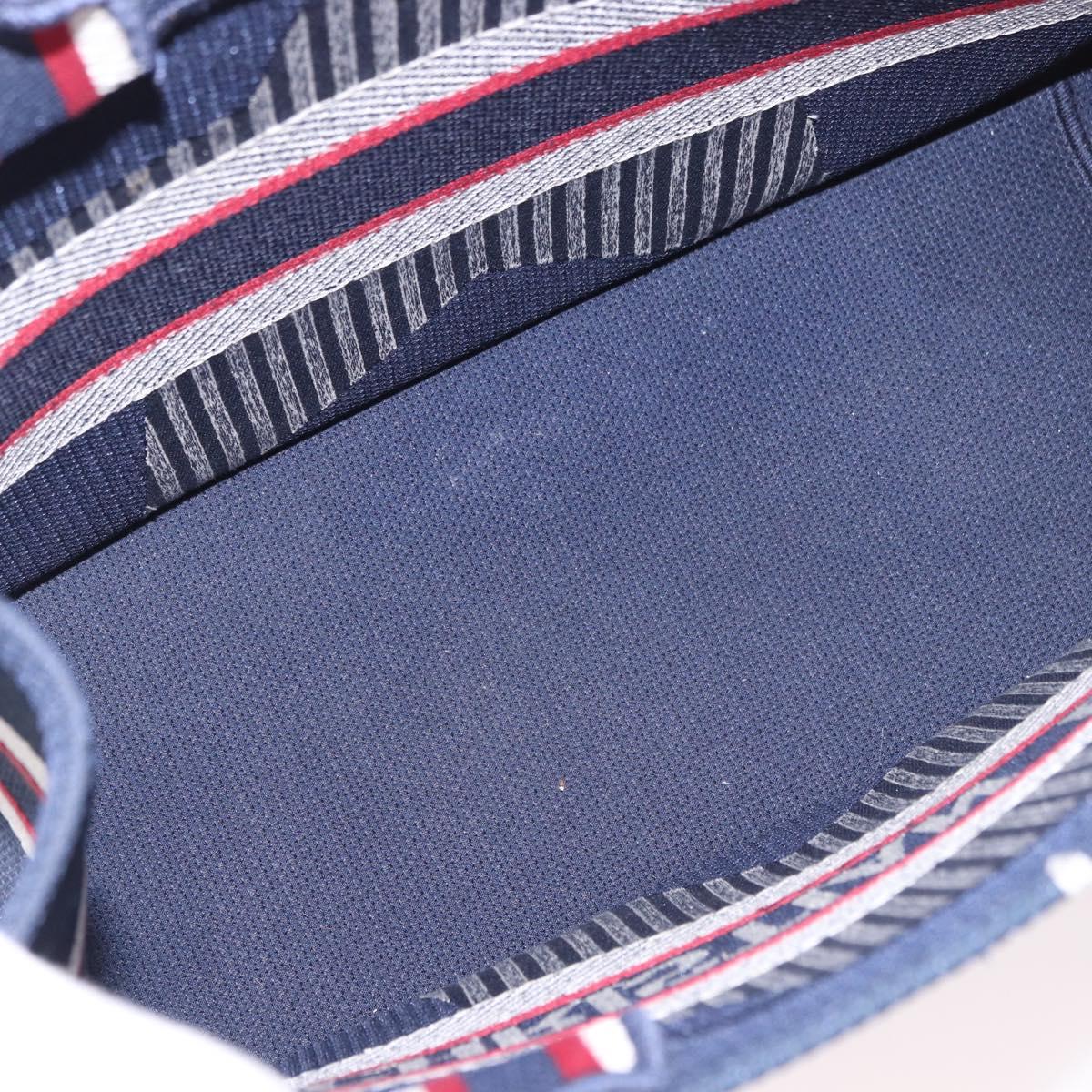 Christian Dior Alps Star Book Tote MM Tote Bag Canvas Navy Auth am11812M