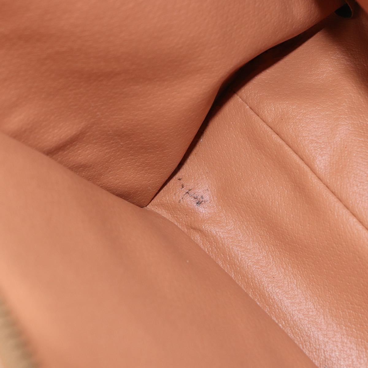 CELINE Macadam Canvas Tote Bag PVC Leather Brown Beige Gold Auth am11883V