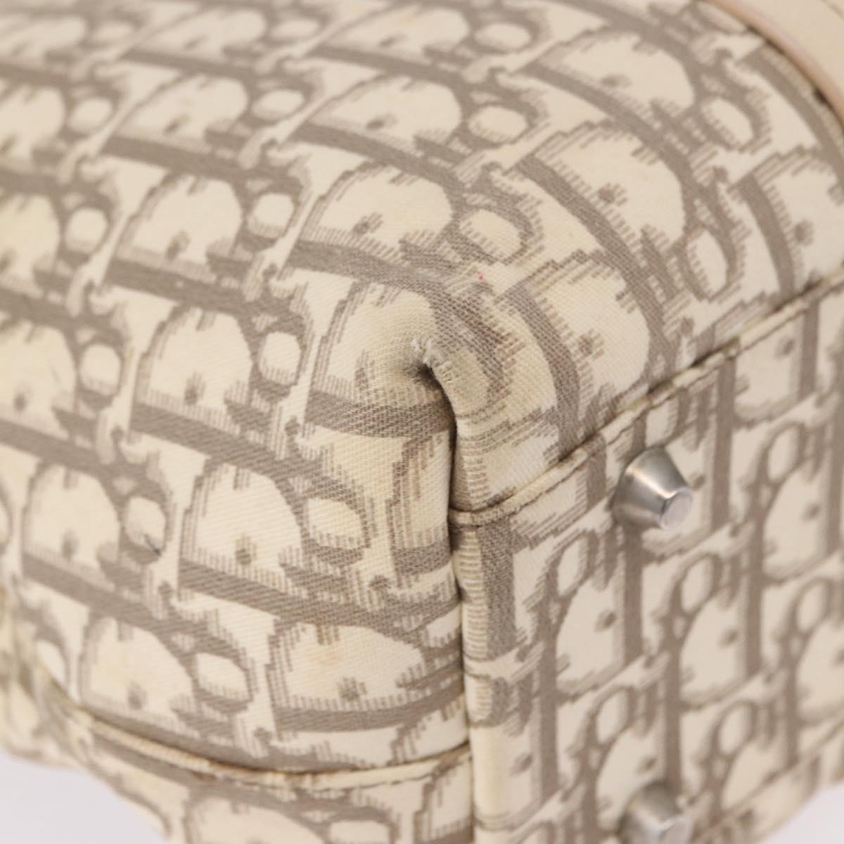 Christian Dior Trotter Canvas Floral Hand Bag Ivory Silver Auth am12468