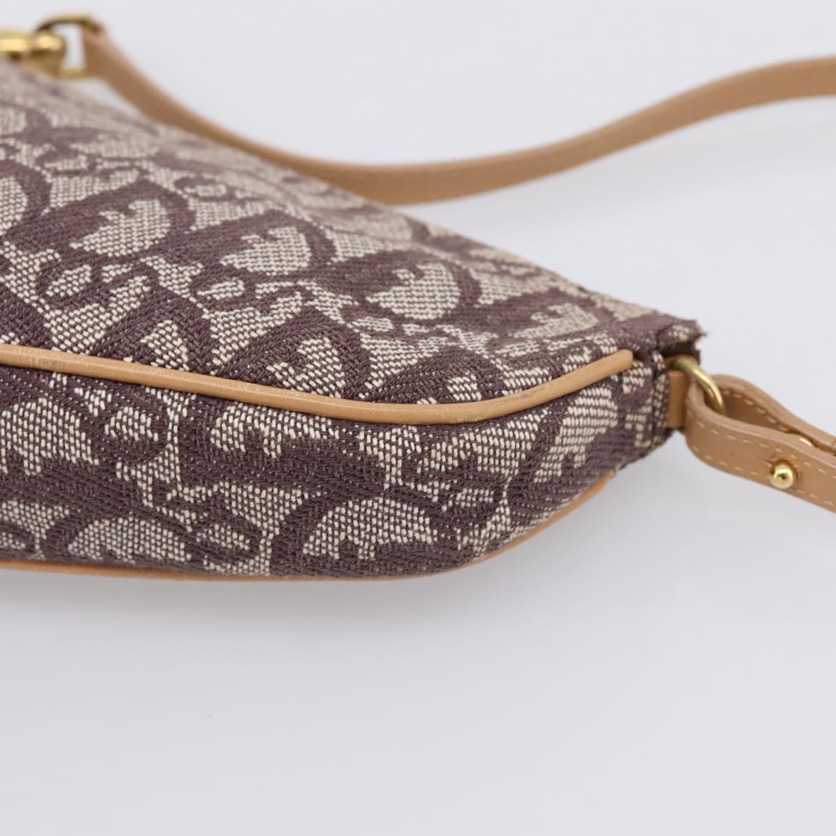 Christian Dior Trotter Canvas Saddle Pouch Brown Gold Auth am12668V