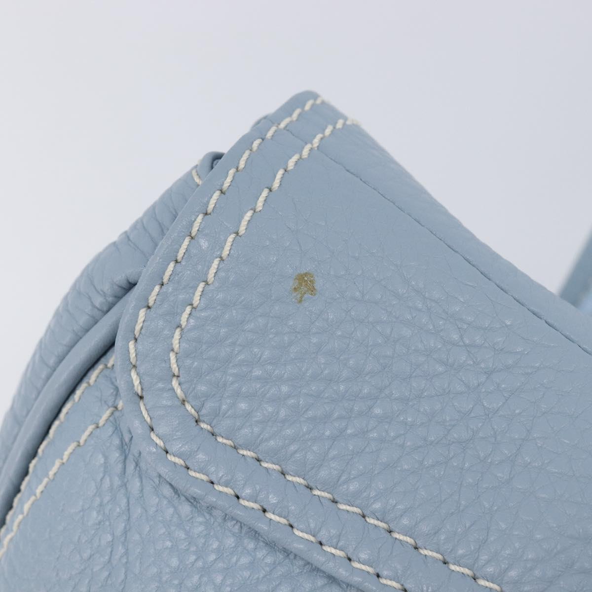 CELINE Hand Bag Leather Light Blue Gold Tone Auth am13108V