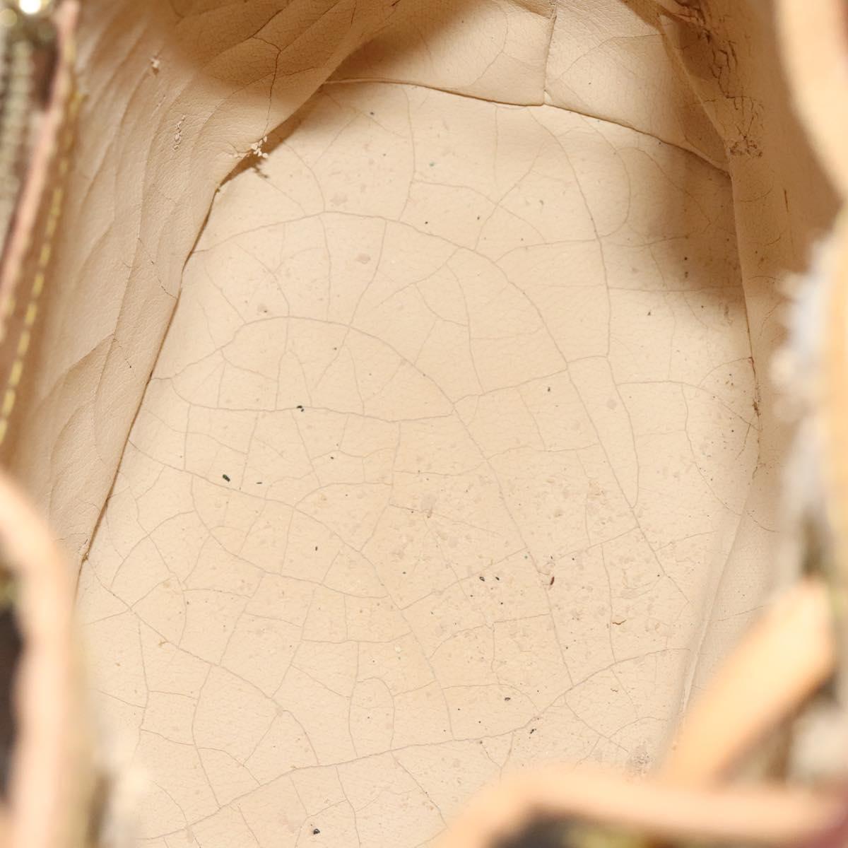 ETRO Paisley Shoulder Bag PVC Brown Gold Auth am8283