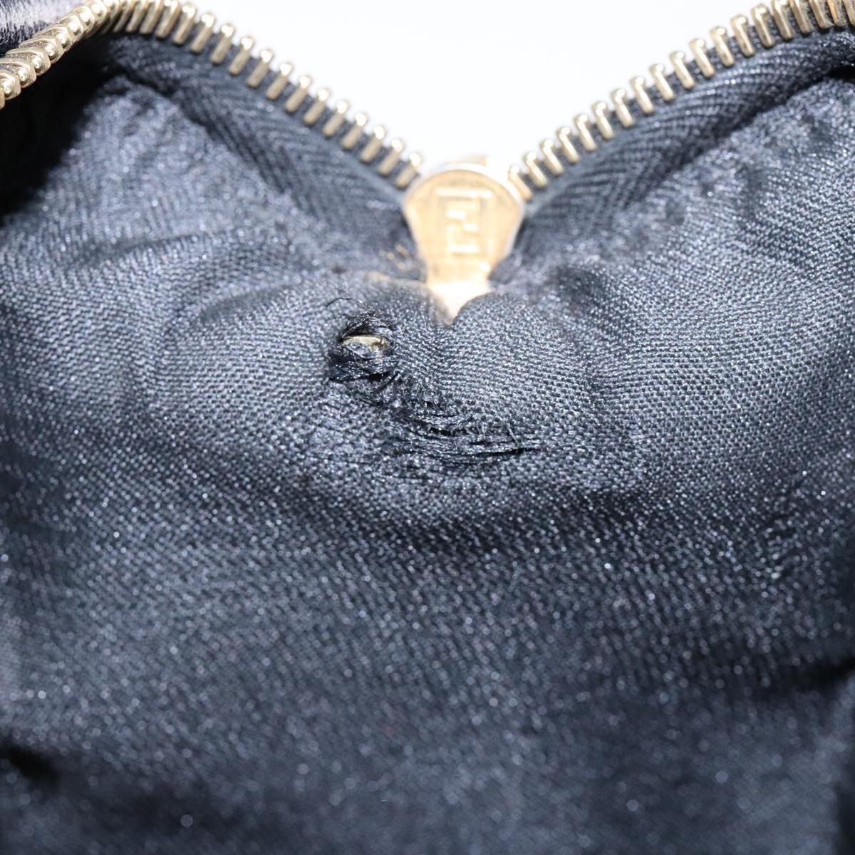FENDI Pecan Canvas Hand Bag Black Brown Auth am8833