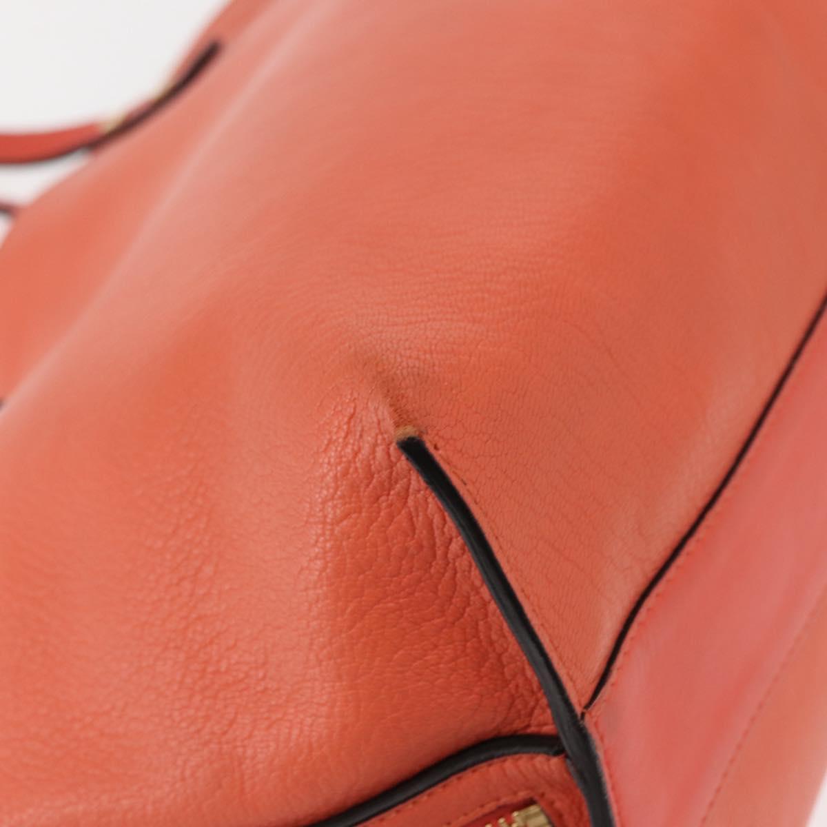 Chloe Dylan Tote Bag Leather Gold salmon pink Auth am9397