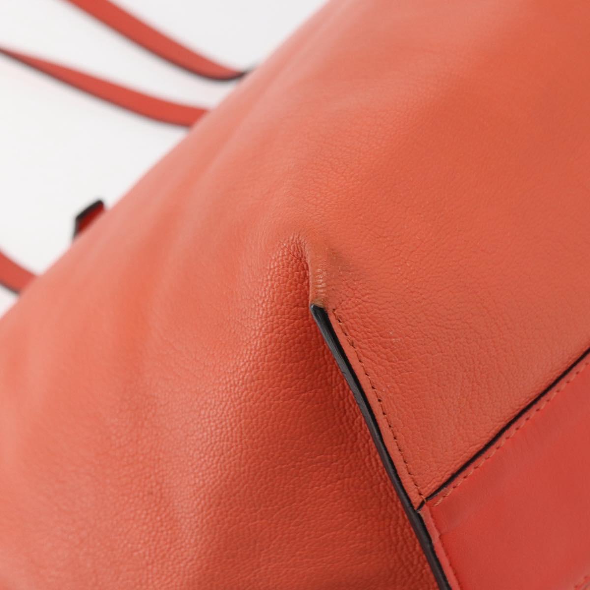 Chloe Dylan Tote Bag Leather Gold salmon pink Auth am9397