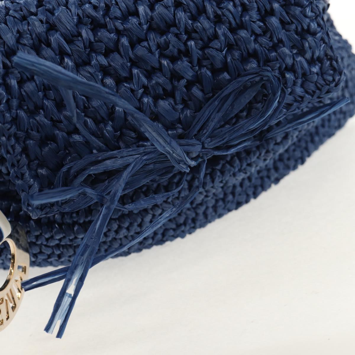 FENDI Hand Bag Straw Blue Gold Auth am9592V