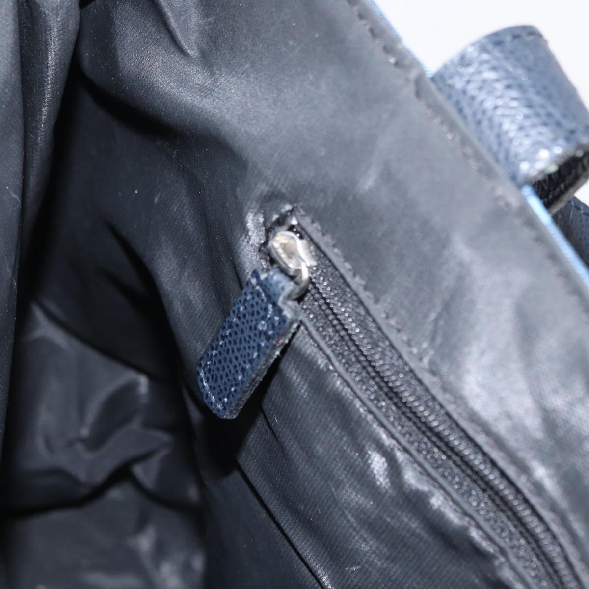 BURBERRY Nova Check Tote Bag Nylon Blue Silver Auth am9857