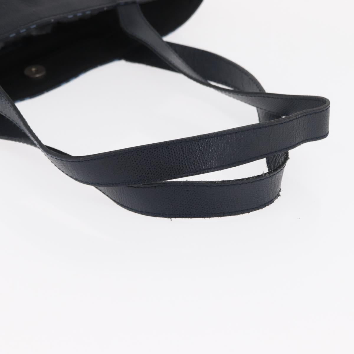 BURBERRY Nova Check Tote Bag Nylon Blue Silver Auth am9857