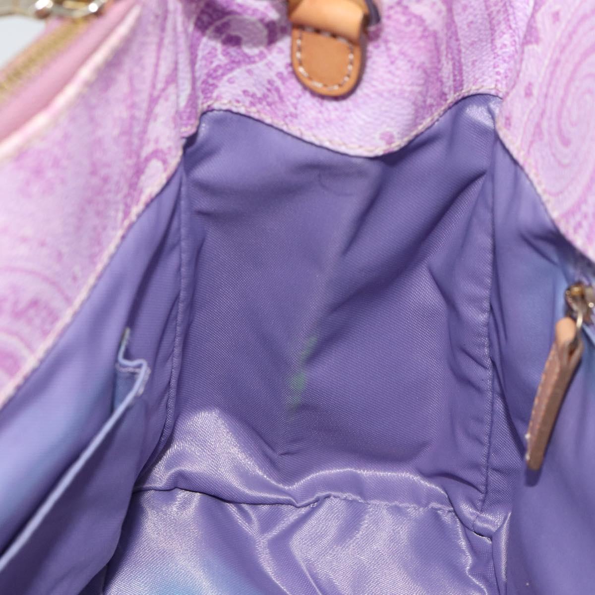 ETRO Paisley Hand Bag PVC Leather 2way Pink Gold Auth am9887