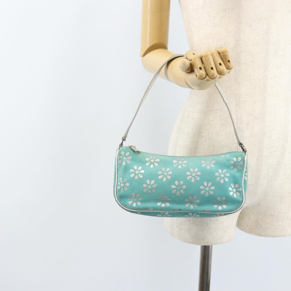 CELINE Accessory Pouch Suede Green Silver Auth AMZ035A