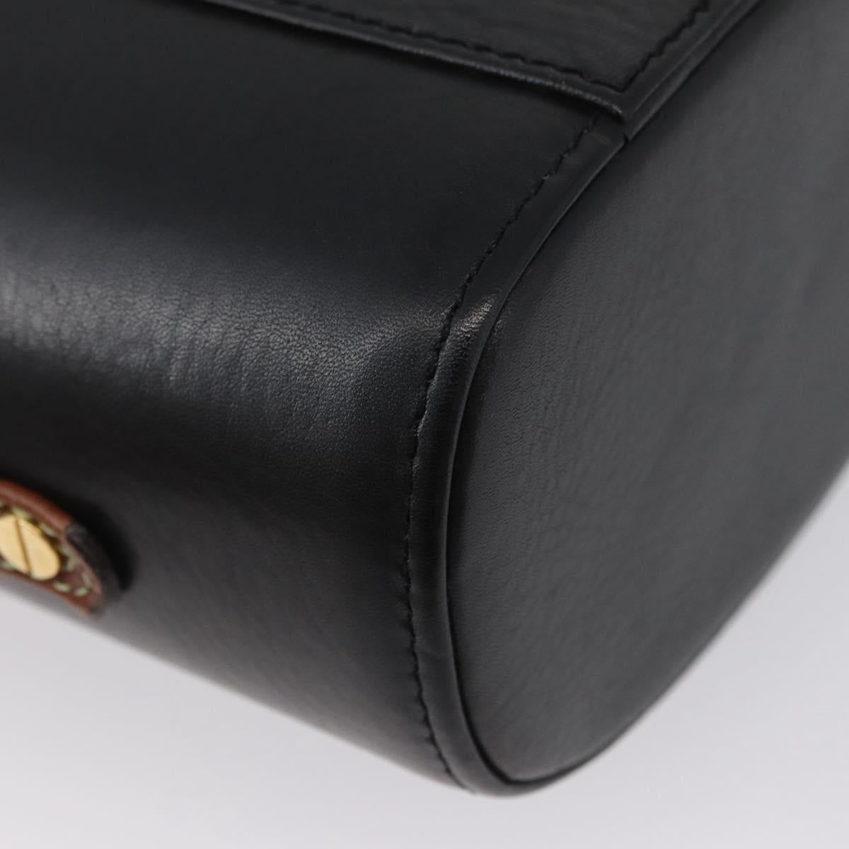 LOEWE Vanity Hand Bag Leather Black Gold Auth AMZ508