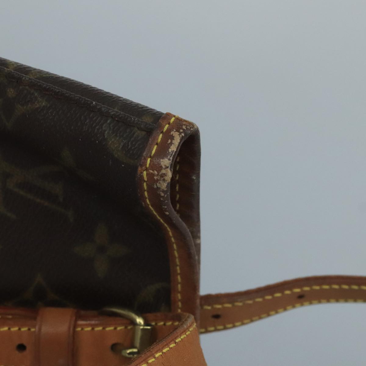 LOUIS VUITTON Monogram Bucket GM Shoulder Bag M42236 LV Auth ar13170
