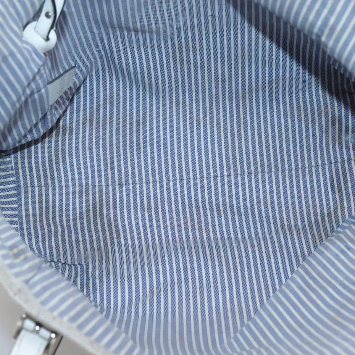 PRADA Tote Bag Canvas Gray Silver Auth ar13504