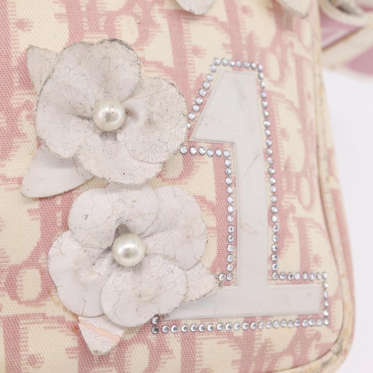 Christian Dior Trotter Canvas Shoulder Bag PVC Pink Silver Auth ar14360