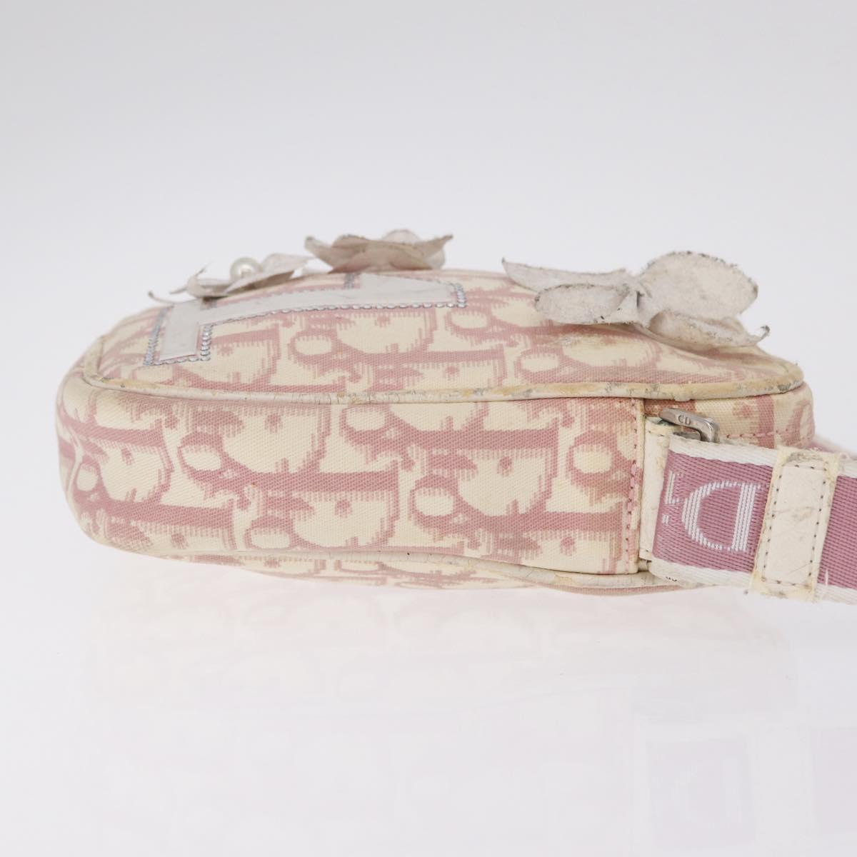 Christian Dior Trotter Canvas Shoulder Bag PVC Pink Silver Auth ar14360