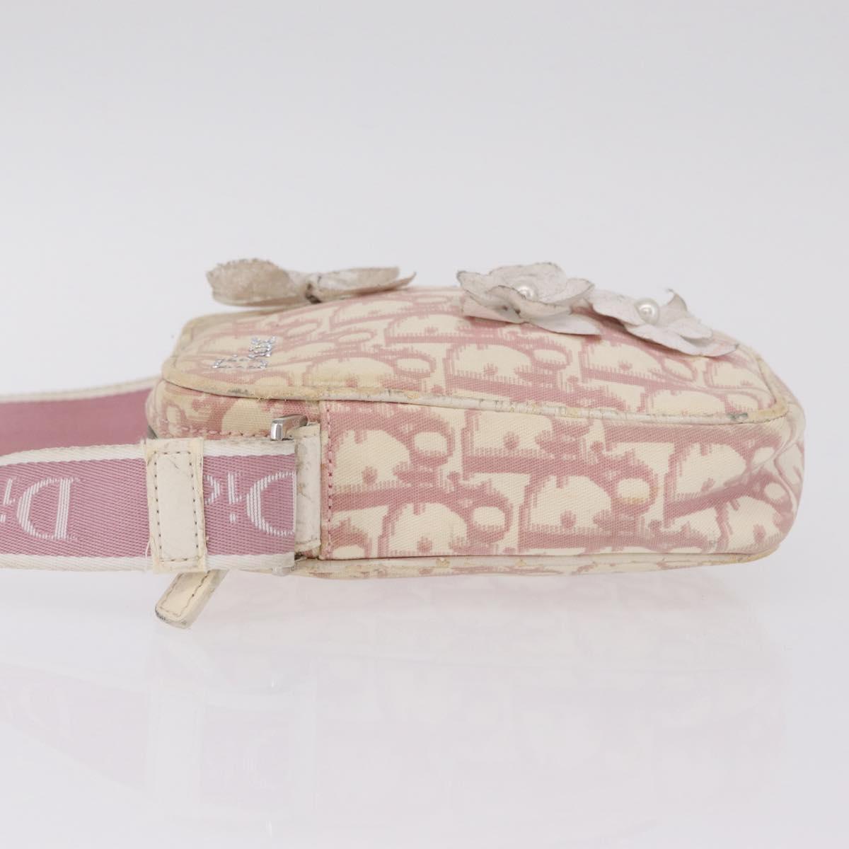 Christian Dior Trotter Canvas Shoulder Bag PVC Pink Silver Auth ar14360