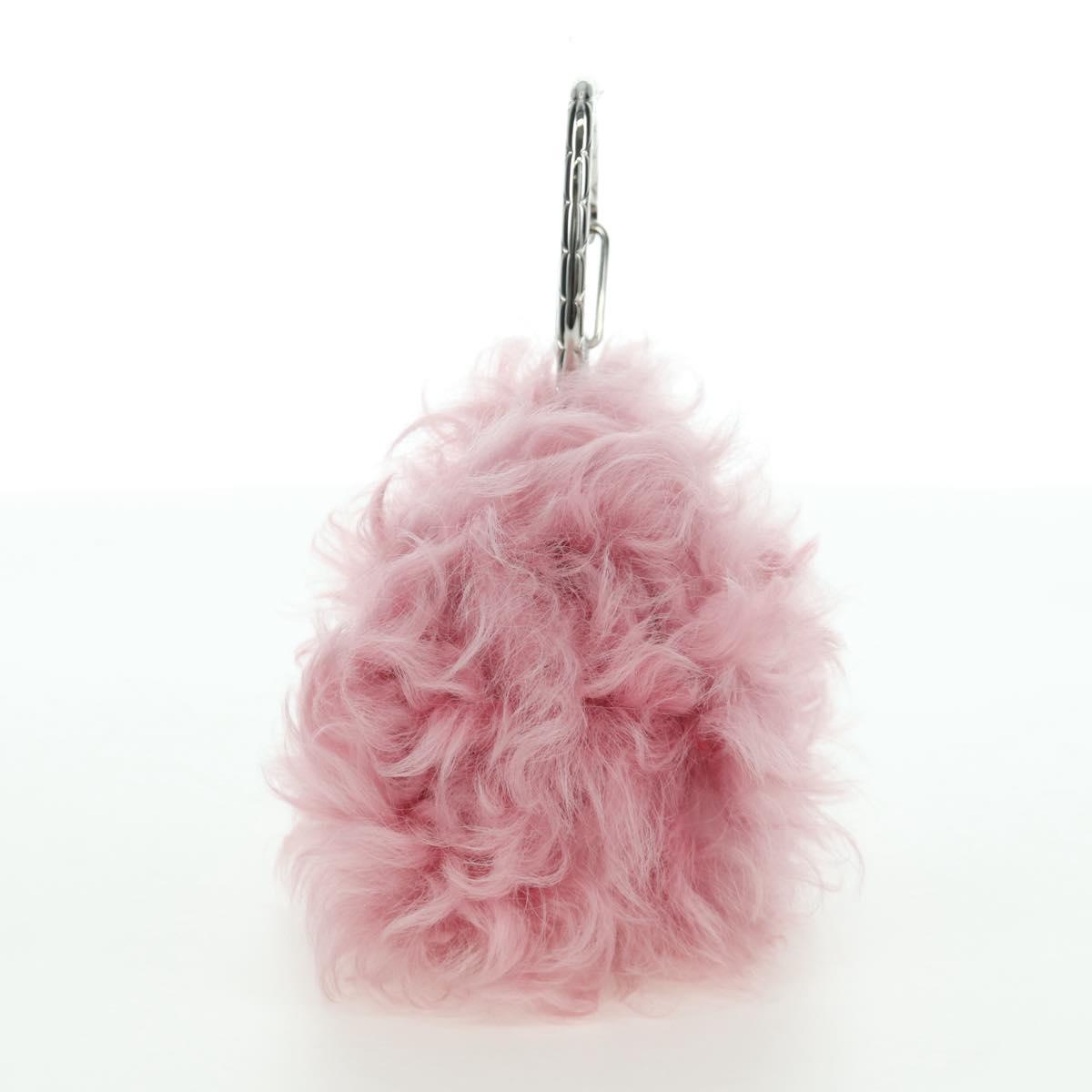 CHANEL Pouch Fur Pink Silver CC Auth ARZ032SAM