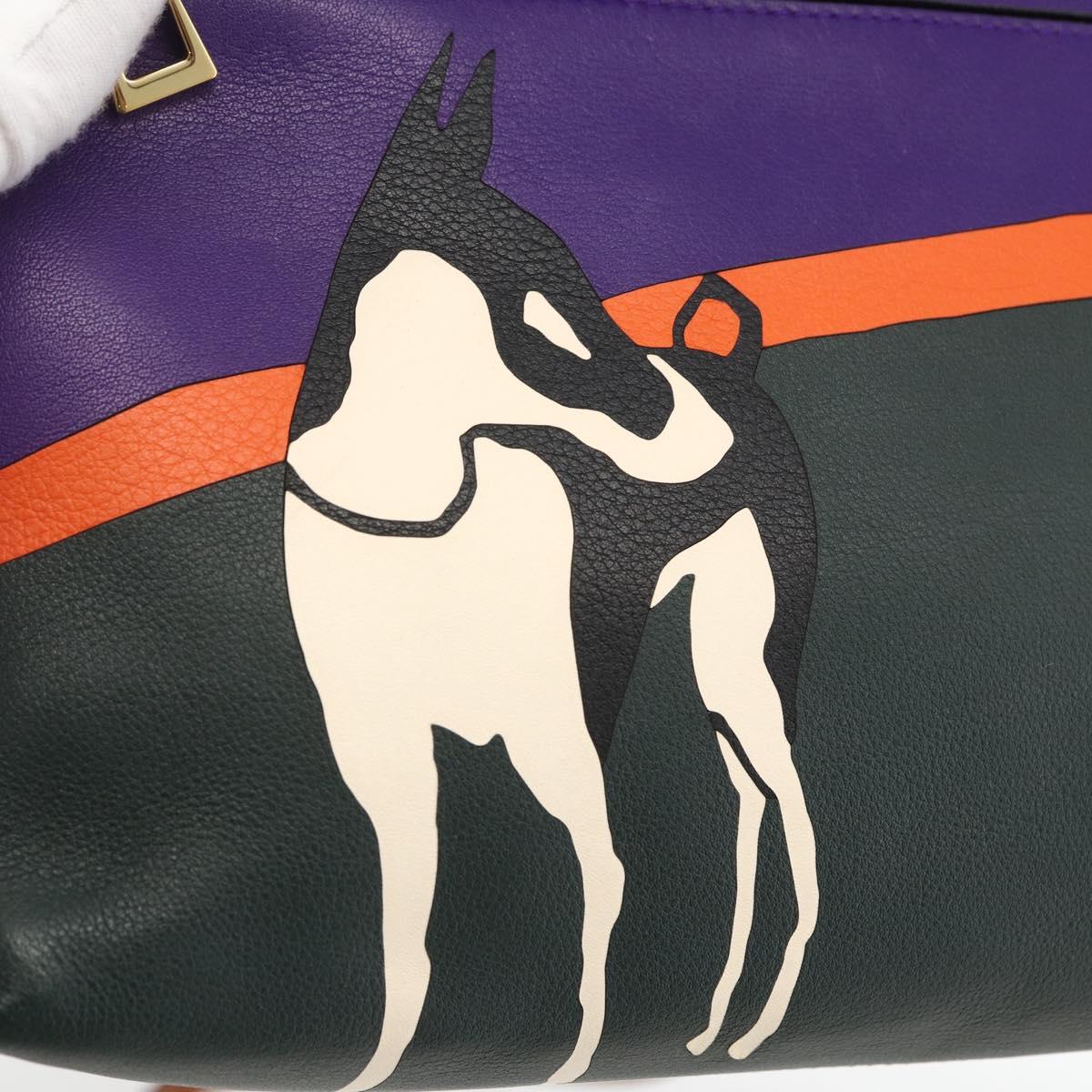 LOEWE John Allen Collaboration Shoulder Bag Leather Purple Gold Auth ARZ442M