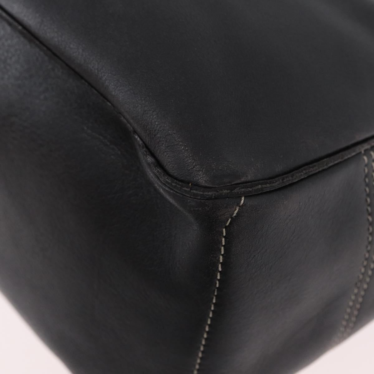 CELINE Boogie bag Hand Bag Leather Dark Brown Silver Auth BA10974