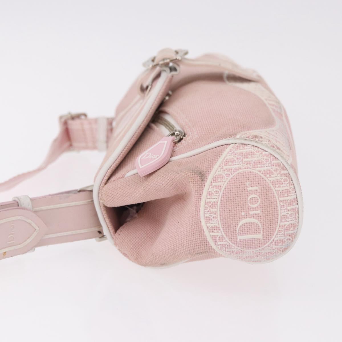 Christian Dior Trotter Canvas Shoulder Bag Pink Silver Auth BA13589A